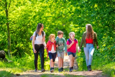 Wandern auf dem Keschde-Erlebnisweg