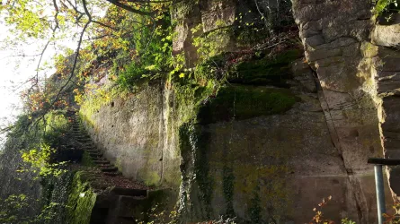 Burgruine Neukastel