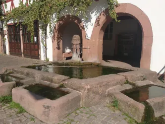 Brunnen Leinsweiler_Hoffelder, SÜW Landau-Land (© Nicola Hoffelder, SÜW Landau-Land e.V.)
