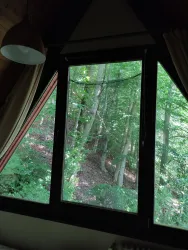 Waldblick kleines Schlafzimmer