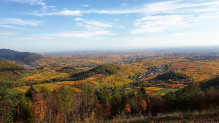 Aussicht vom Föhrlenberg im Herbst