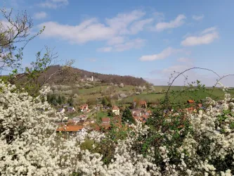 Frühsommer in Leinsweiler