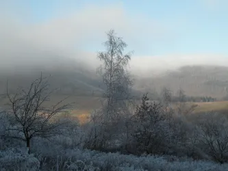Spätherbst mit erstem Frost im Leinsweiler Umland