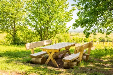 Picknick im Schatten