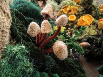 Waldwunder (© Jörg Haedecke)