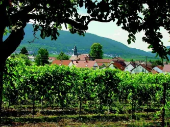 Ortsansicht Wetterhäusel02 Bantz2007