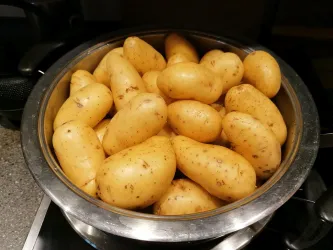 Pfälzer Gequellte