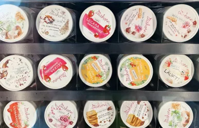 Eishorn Eisautomat