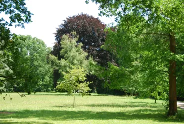 Wormser Wäldchen (© Stadt Worms)