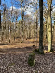Fliegenstein (Menhir)