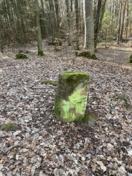 Fliegenstein (Menhir)