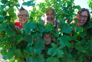 Weingut Pfeiffer