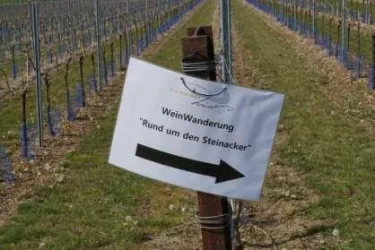 Wegweiser