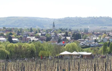 Kirchheim an der Weinstraße