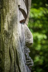 5930_Labyrinth am Lebenspfad_2018
