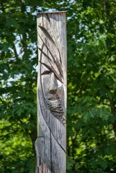 5928_Labyrinth am Lebenspfad_2018