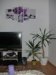FeWo 80 m²  Wohnzimmer