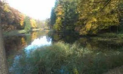 schwarzweiher 3