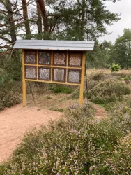Mehlinger Heide