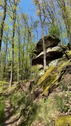 Wandern in der Natur