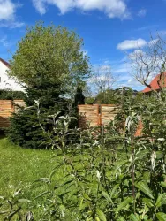 Garten (© Harry Hamacher)