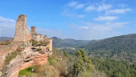 Burgen der Pfalz