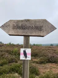 Mehlinger Heide