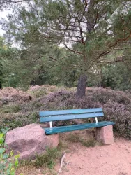Mehlinger Heide