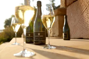 prickelnder Genuss (© Weingut Kassner-Simon)
