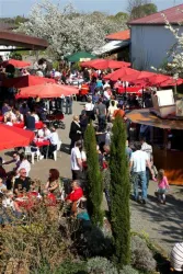 Blütenfest (© Urlaubsregion Freinsheim)