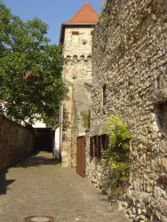 Stadtmauerrundgang (© Urlaubsregion Freinsheim)