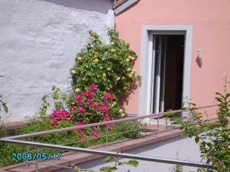 Dachterrasse - Wg. OG