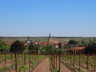 Aussicht vom Friedhof auf Weinberg u. Freinsheim (© Urlaubsregion Freinsheim)