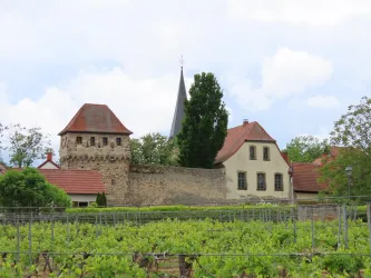 Gottfried-Weber-Haus mit Stadtmauer (© Urlaubsregion Freinsheim)
