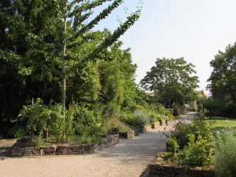 Apothekergarten, Weg mit Heilpflanzen (© Urlaubsregion Freinsheim)