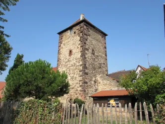 Freinsheim Herzogturm mit Garten davor (© Urlaubsregion Freinsheim)