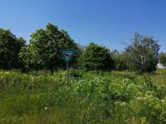 Naturdenkmal Hahnenplatz, Wiese mit  Schild (© Urlaubsregion Freinsheim)