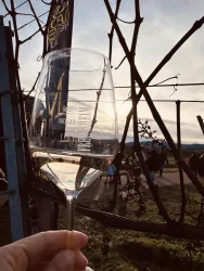 Rotweinwanderung 4 (© Frau Divok)