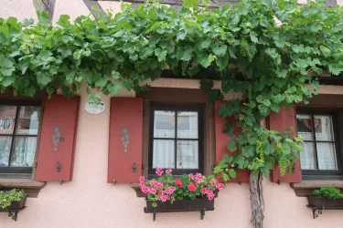 Fachwerkhaus in Vollmersweiler