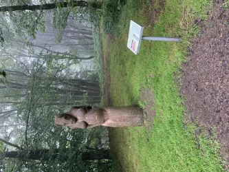Skulpturen auf den Wanderwegen