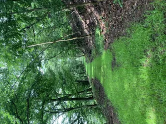 Wandern am Donnersberg