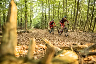 Mountainbiken im Pfälzerwald