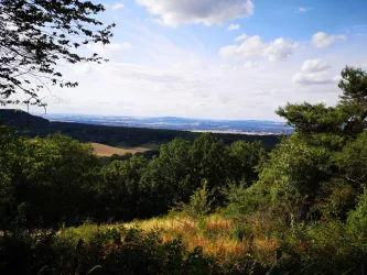 Gipfelkreuz Bann_Ausblick