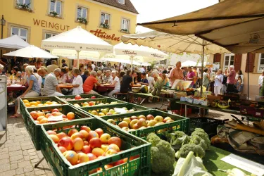 Große Marktauswahl bei schönstem Wetter