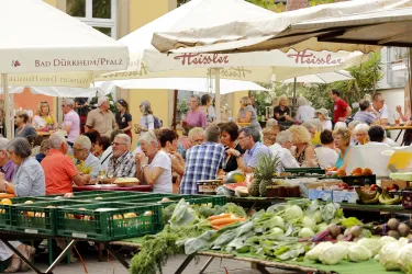 Das Marktfrühstück auf dem Obermarkt