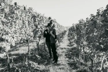 Im Weinberg
