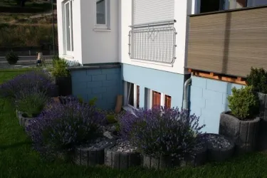 Fenster zum Garten2