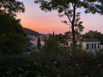 Annabelle-Abendstimmung_IMG_9254
