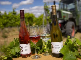 Wein (© Stadt Bad Dürkheim)