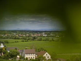 Weingut Jüllich (© Stadt Bad Dürkheim)